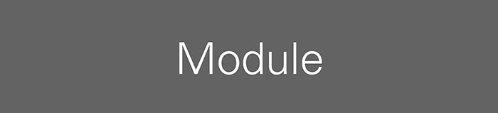 Automotive Module