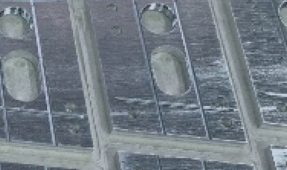 sauer product Dienstleistung engineering